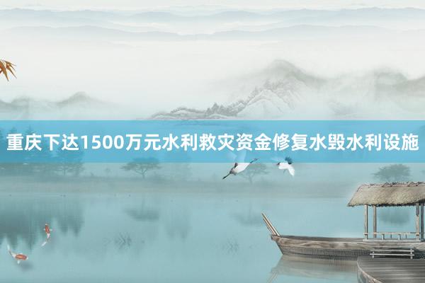 重庆下达1500万元水利救灾资金修复水毁水利设施