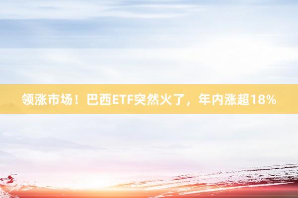 领涨市场！巴西ETF突然火了，年内涨超18%