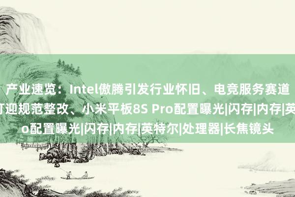 产业速览：Intel傲腾引发行业怀旧、电竞服务赛道格局重塑、智驾小蓝灯迎规范整改、小米平板8S Pro配置曝光|闪存|内存|英特尔|处理器|长焦镜头