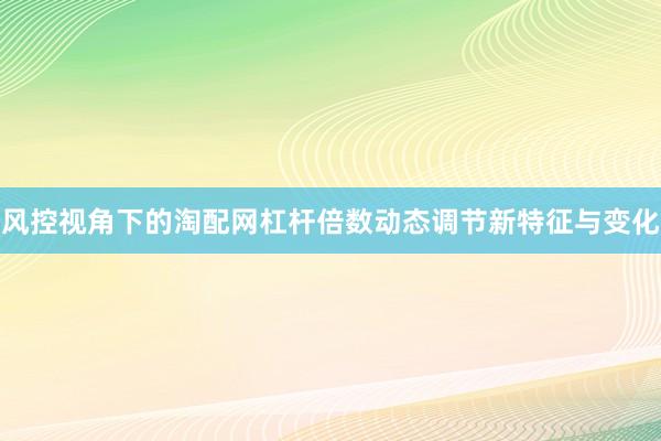 风控视角下的淘配网杠杆倍数动态调节新特征与变化