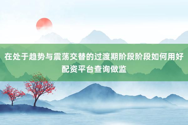 在处于趋势与震荡交替的过渡期阶段阶段如何用好配资平台查询做监