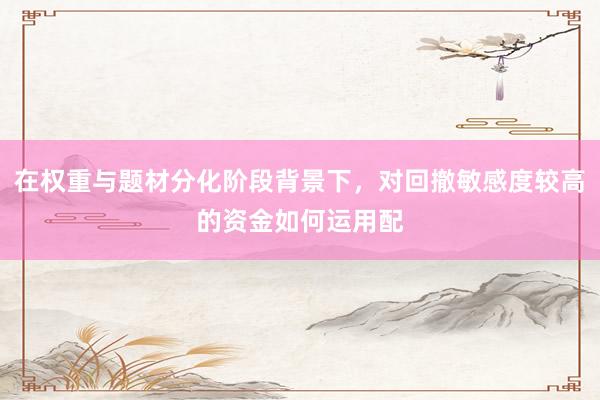 在权重与题材分化阶段背景下，对回撤敏感度较高的资金如何运用配