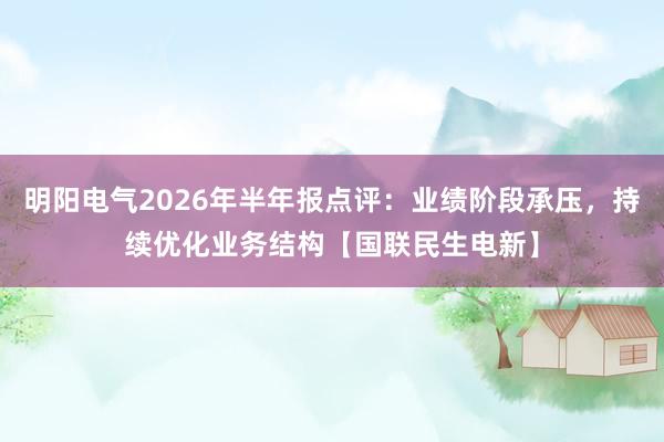明阳电气2026年半年报点评：业绩阶段承压，持续优化业务结构【国联民生电新】