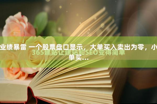业绩暴雷 一个股票盘口显示，大单买入卖出为零，小单买...