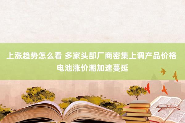 上涨趋势怎么看 多家头部厂商密集上调产品价格 电池涨价潮加速蔓延