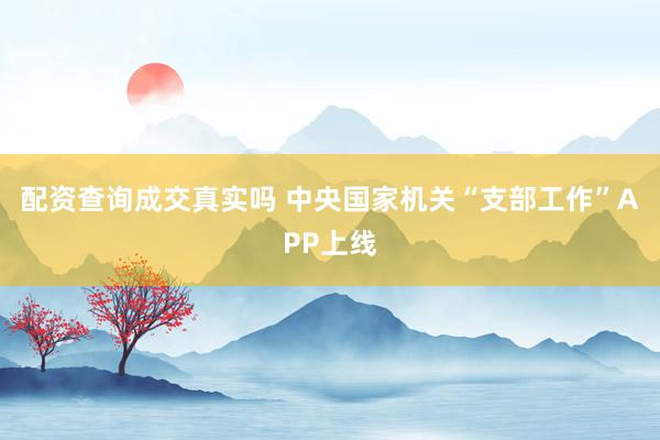 配资查询成交真实吗 中央国家机关“支部工作”APP上线