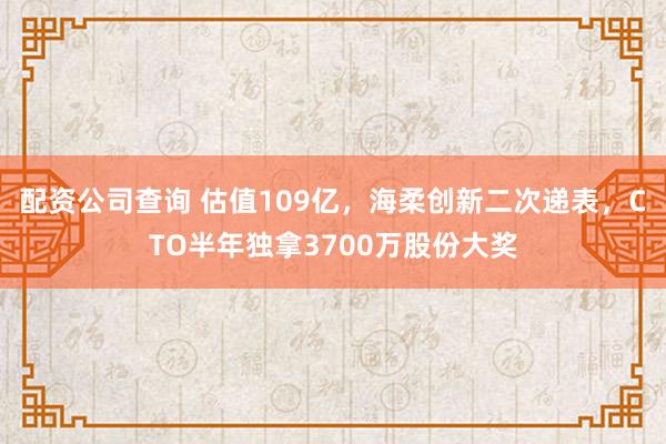 配资公司查询 估值109亿，海柔创新二次递表，CTO半年独拿3700万股份大奖