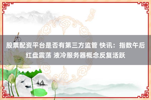 股票配资平台是否有第三方监管 快讯:指数午后红盘震荡 液冷服务器概念反复活跃