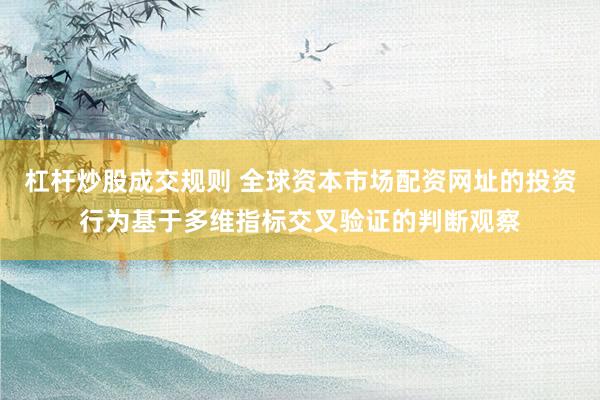杠杆炒股成交规则 全球资本市场配资网址的投资行为基于多维指标交叉验证的判断观察