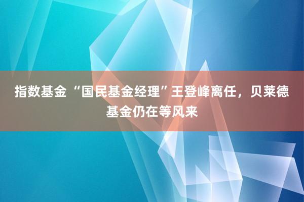 指数基金 “国民基金经理”王登峰离任,贝莱德基金仍在等风来